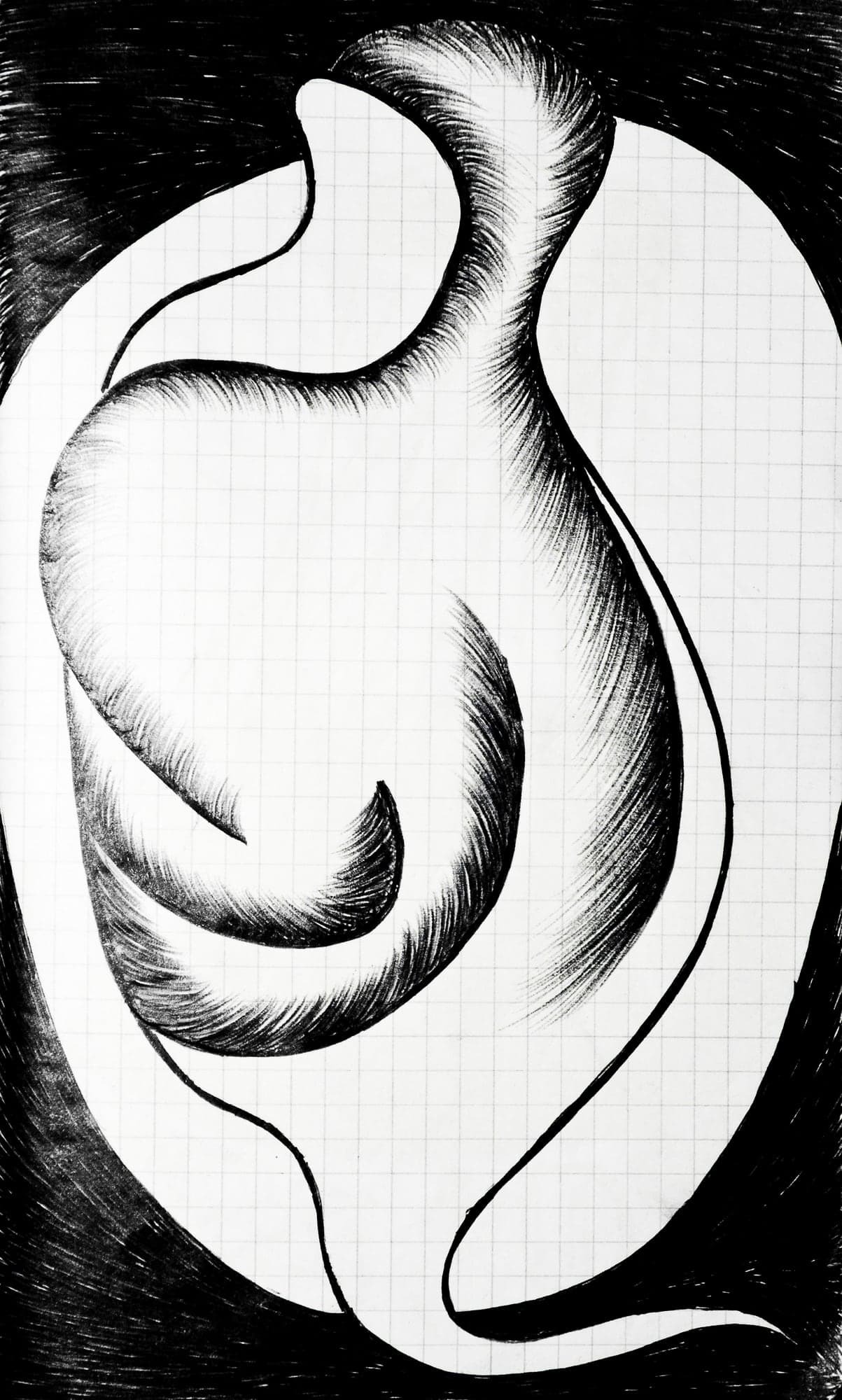 A white organic form on black