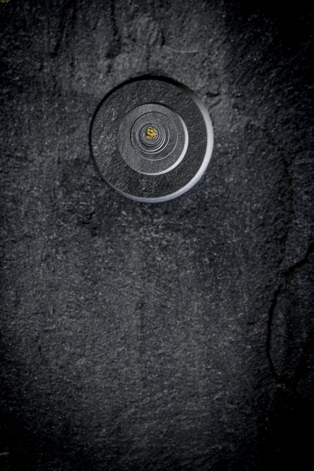 A dark, textured circle
