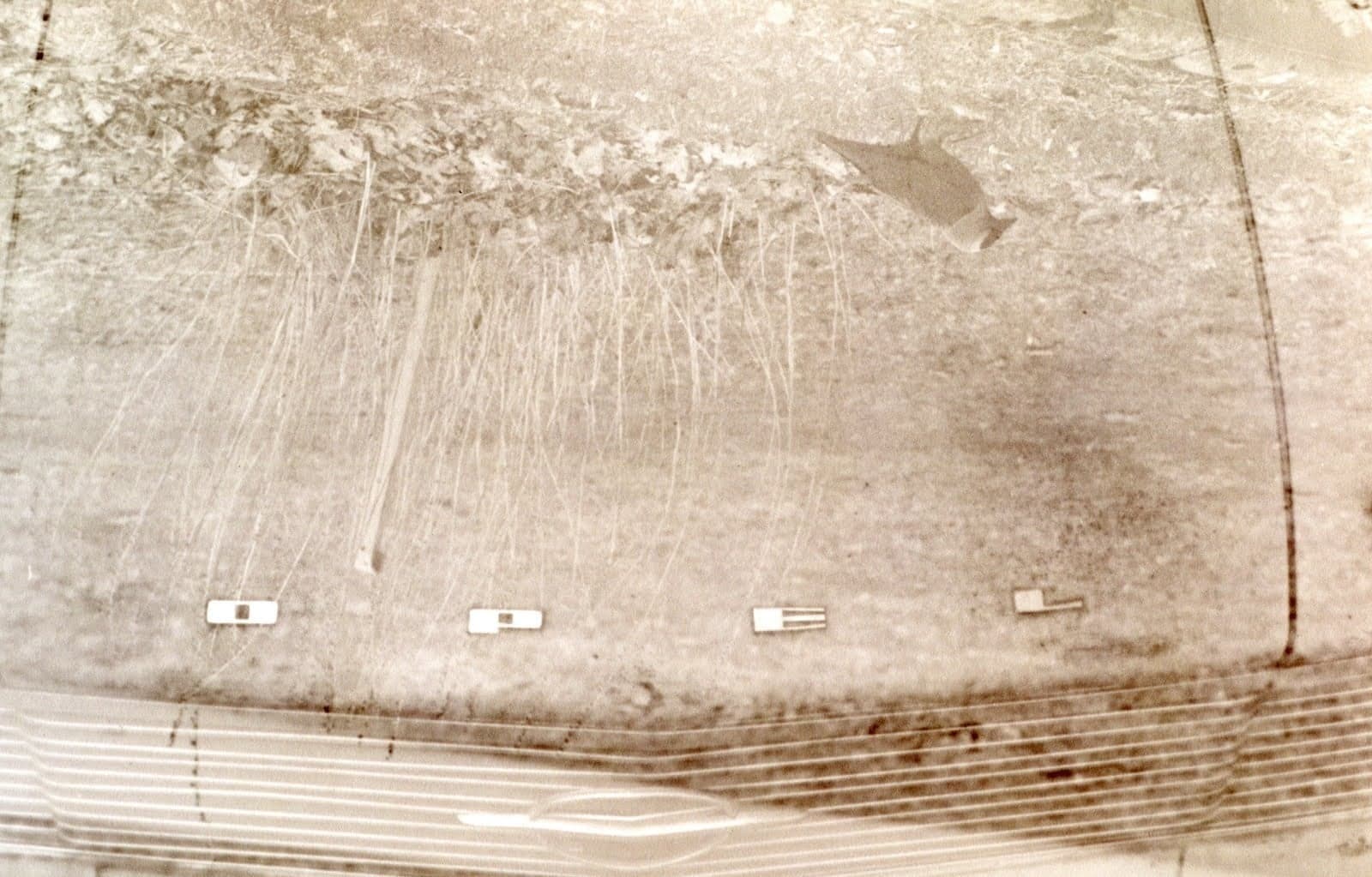 Eine Wiese, die in einen gebogenen Horizont übergeht