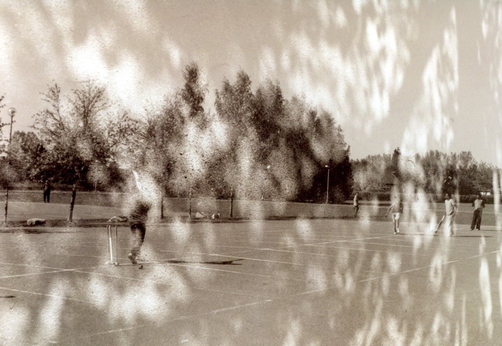 Tennisplätze unter einem Schleier aus Blättern