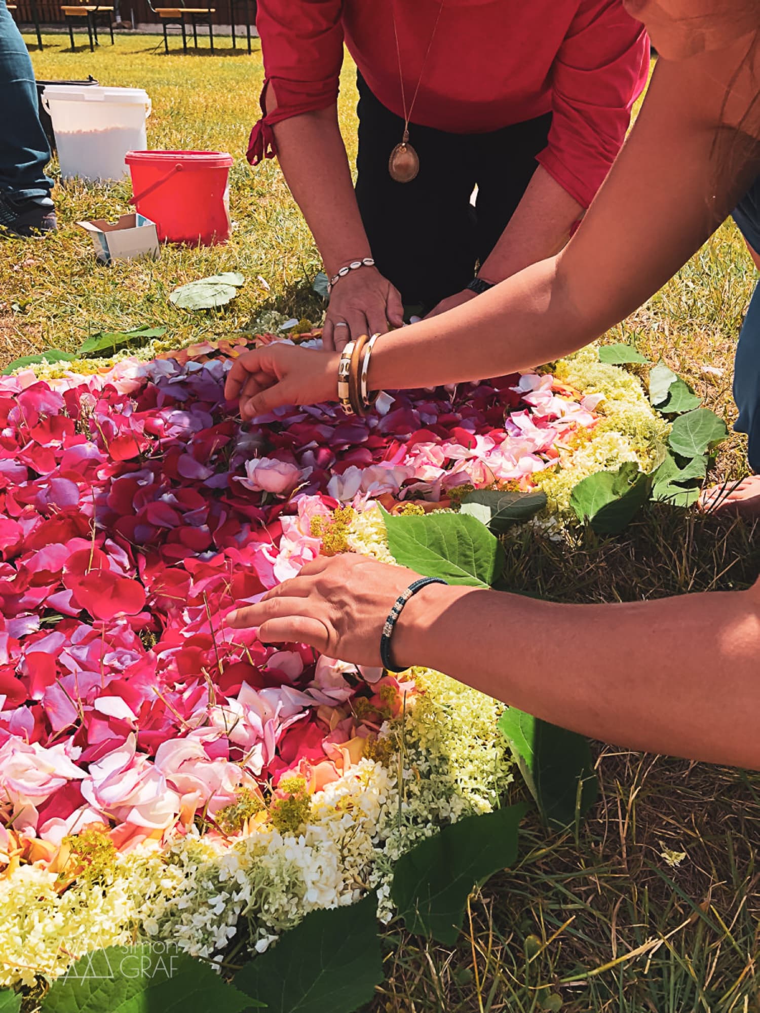 Hands laying rose petals into a pattern
