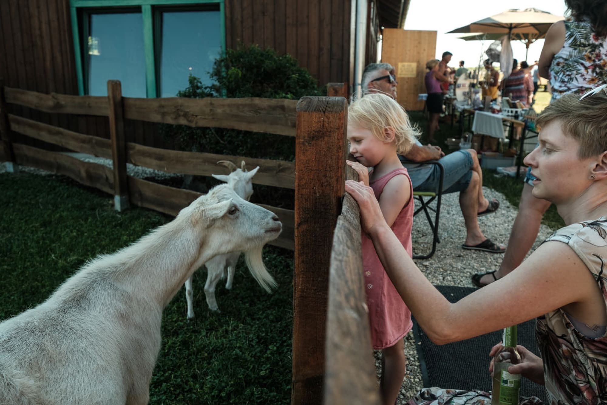 Children and a goat