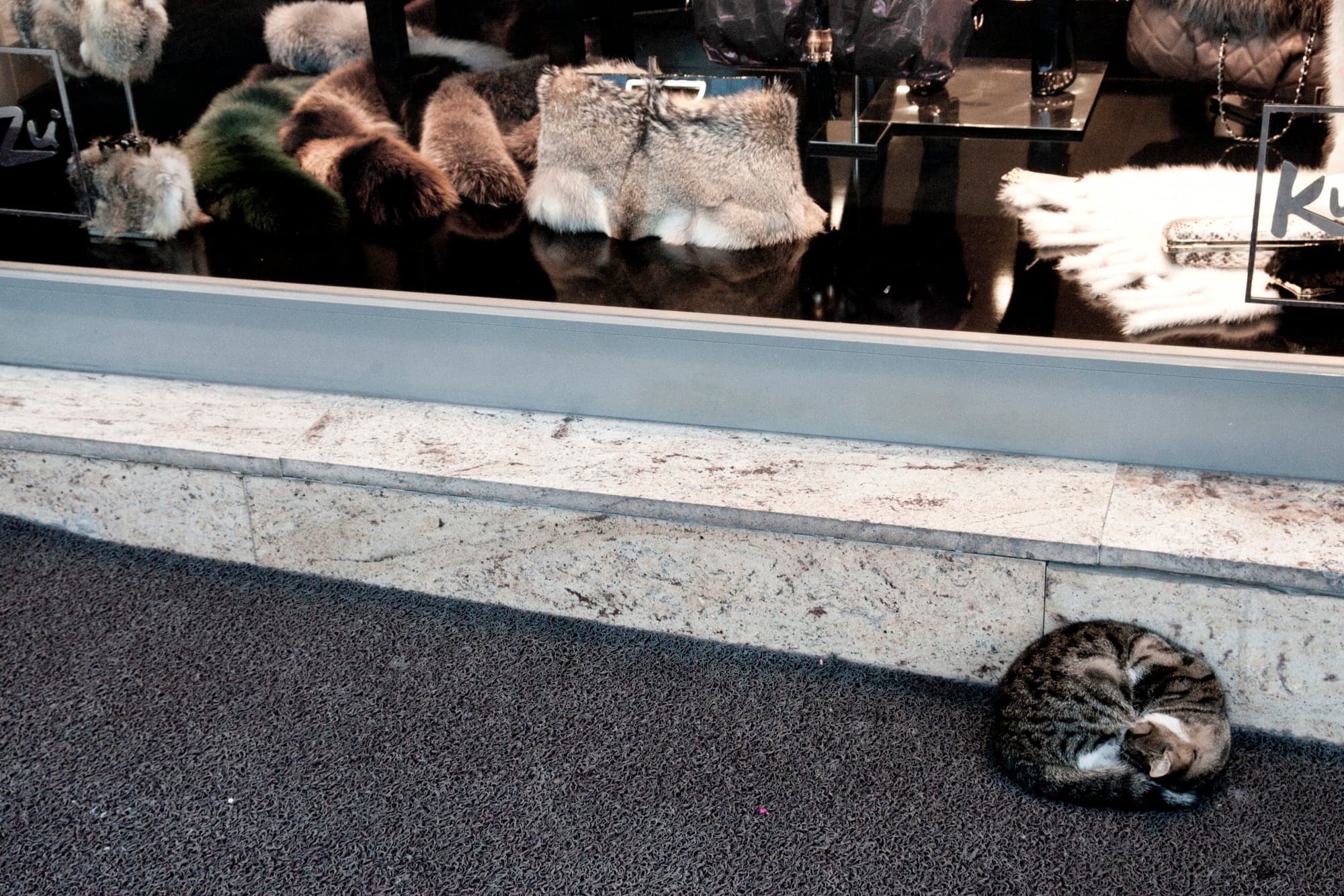 A cat asleep on a curb