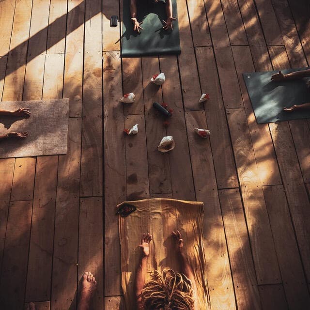 Inara · Living Vinyasa (5)
