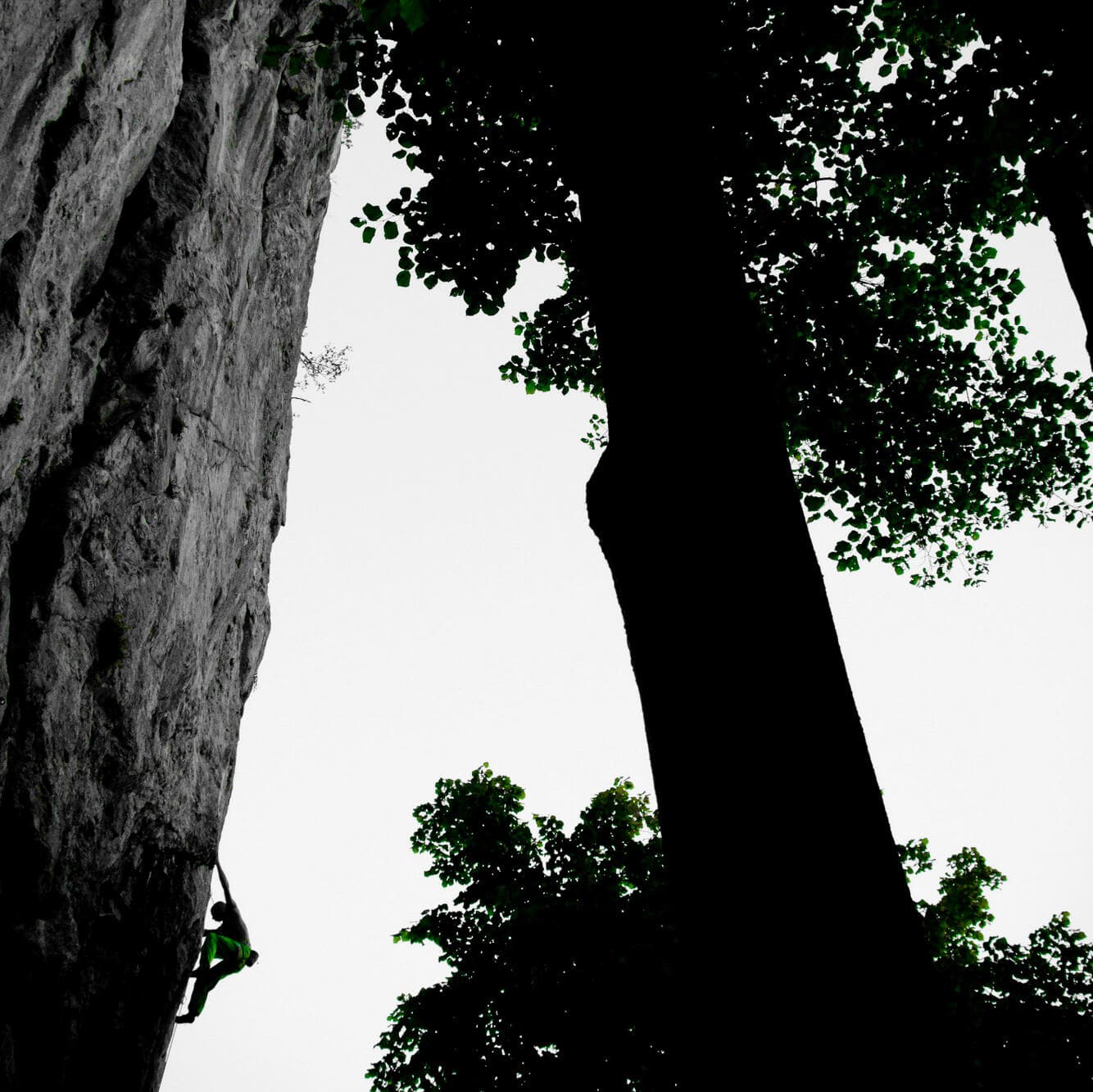 Mission: Klettern (3)