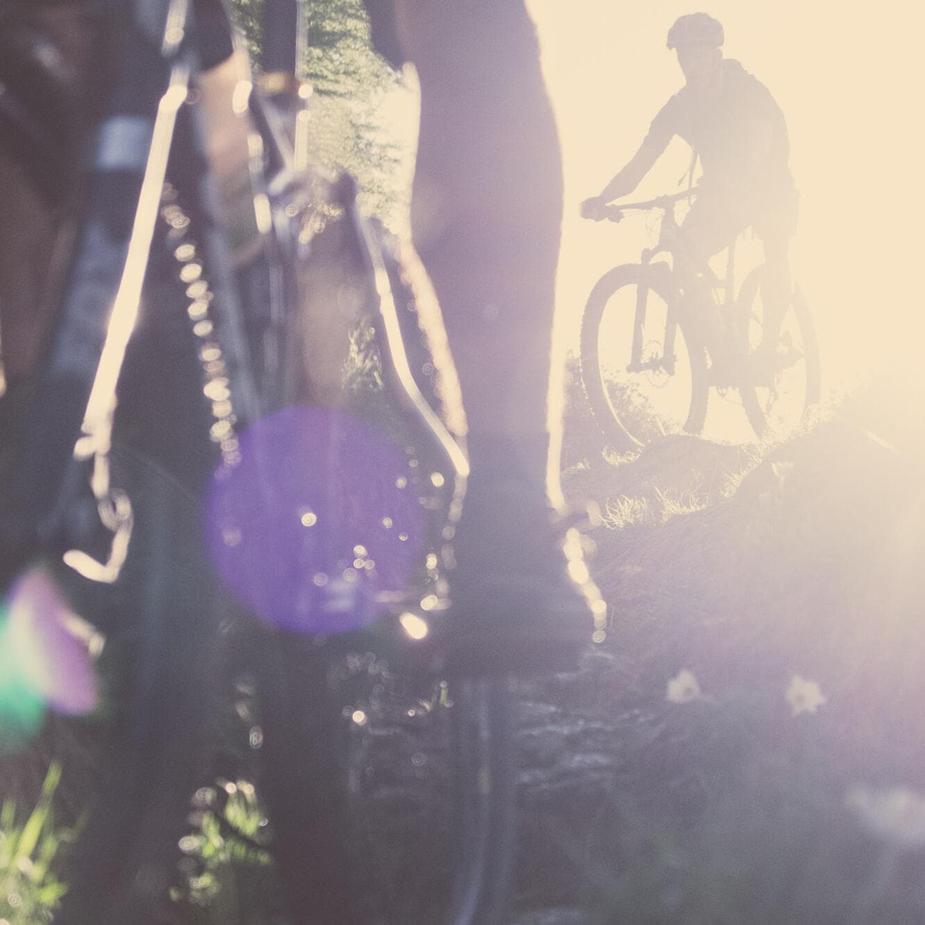 Mission: Mountainbike (5)