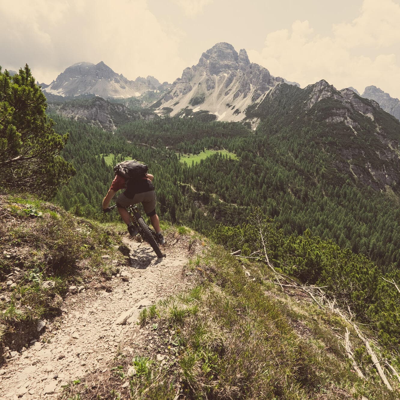 Mission: Mountainbike (6)