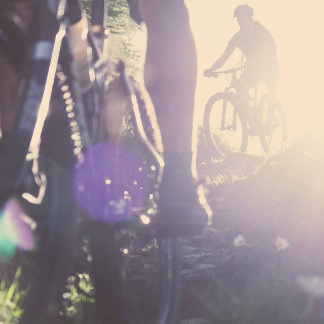 Mission Mountainbike Mission Mountainbike