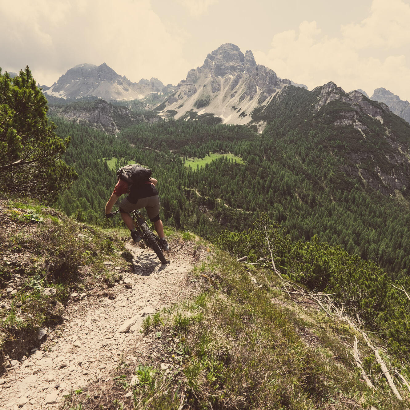 Mission Mountainbike Mission Mountainbike