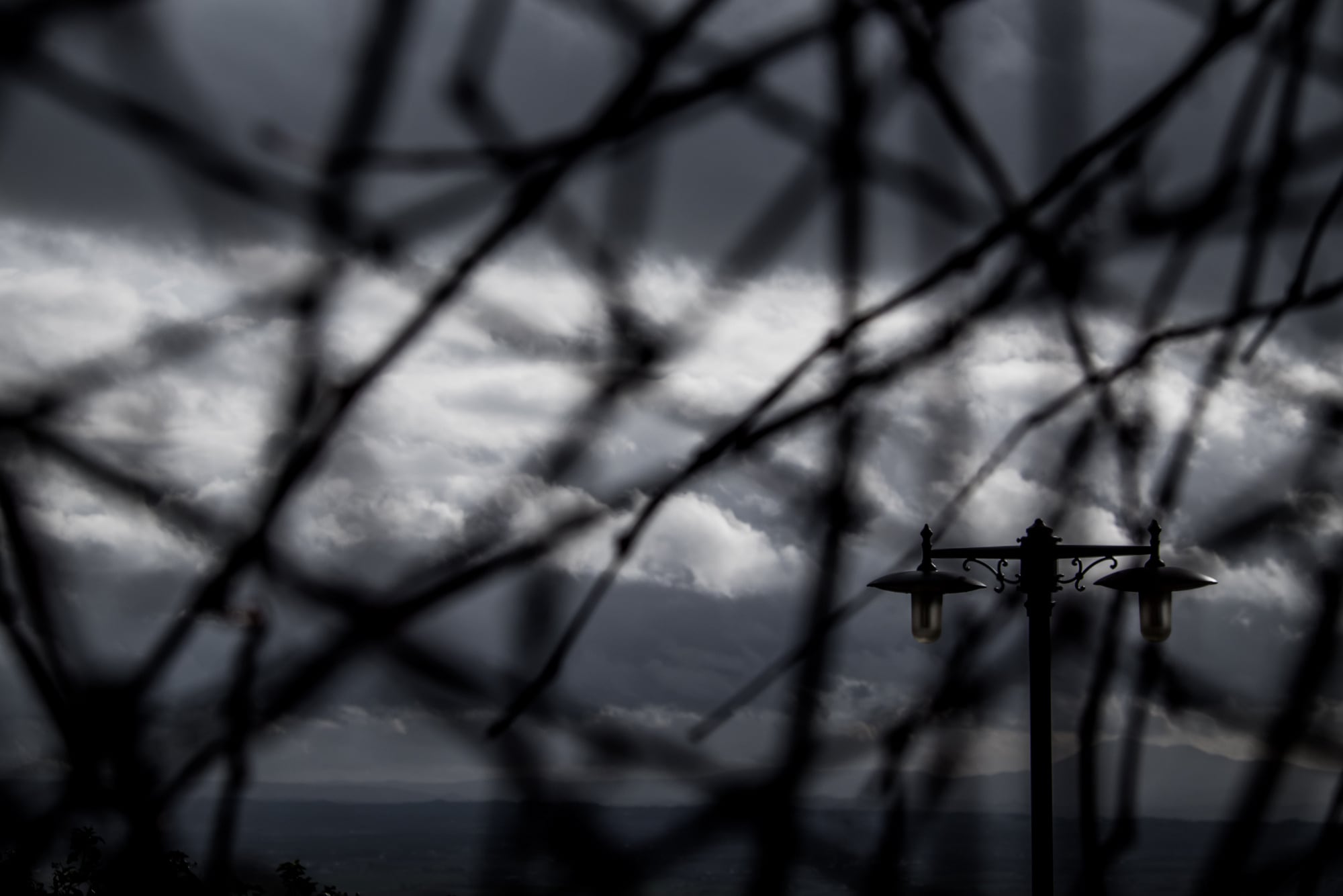 Kahle Äste vor schwerem Himmel