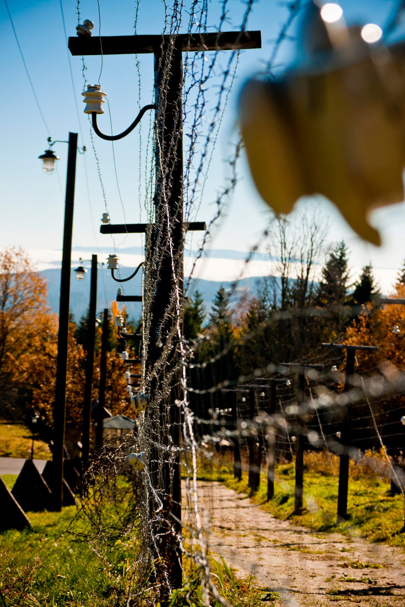 Ein Strommast entlang eines herbstlichen Wegs