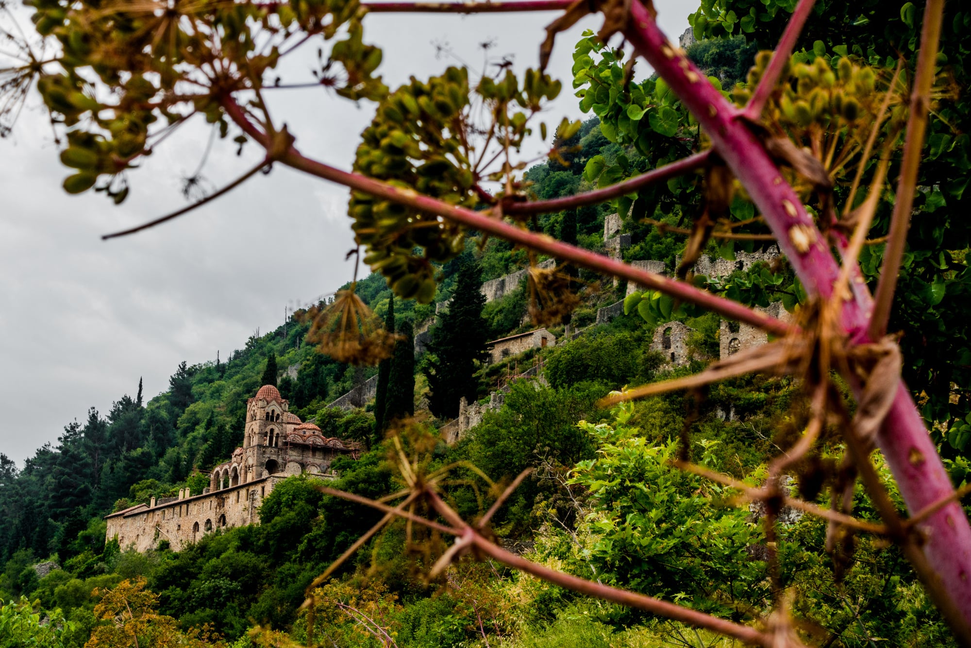 Eine Ruine auf einem Hügel, durch Äste gesehen